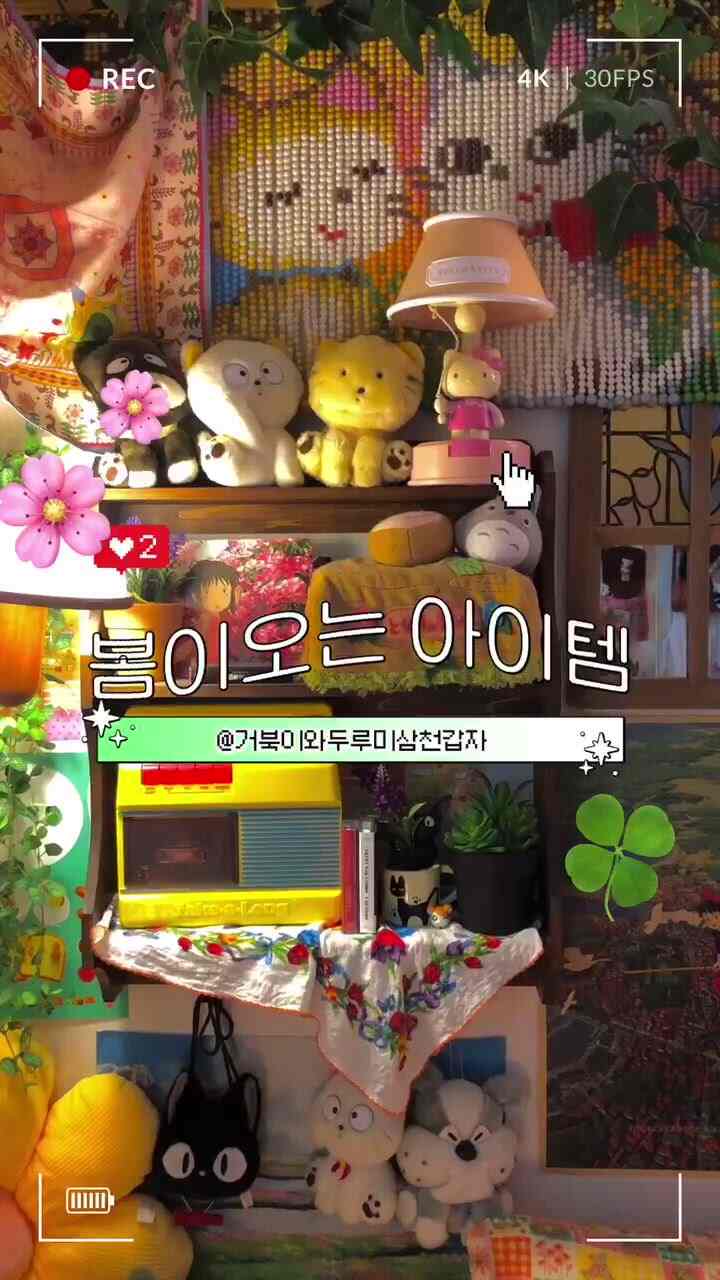 オタク部屋に春を呼ぶアイテム🌸

こんにちはオライフ3期キダルトで参加することになった「カメとドゥルミ三千突者」です！ （ドゥルミと呼んでください😉）
桜が咲く最近、私の部屋にも春を呼ぶアイテムを紹介します🌸゜*⸜(ू ◜࿁◝ )