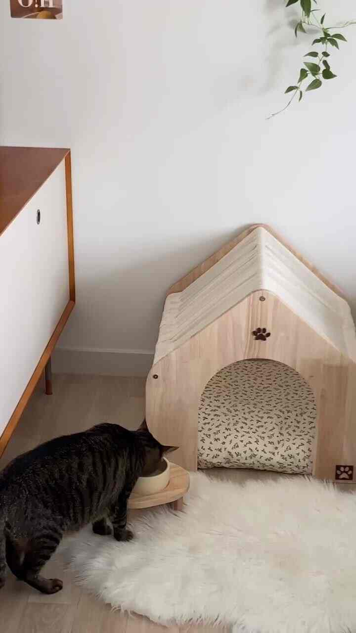 私たちのオレゴランのためのかわいい家が登場！
体重で計って置いたけど二頭が入っても寛大でオレも早く親しくなって三匹が一緒に寝るのが見たいアミの心ですよ