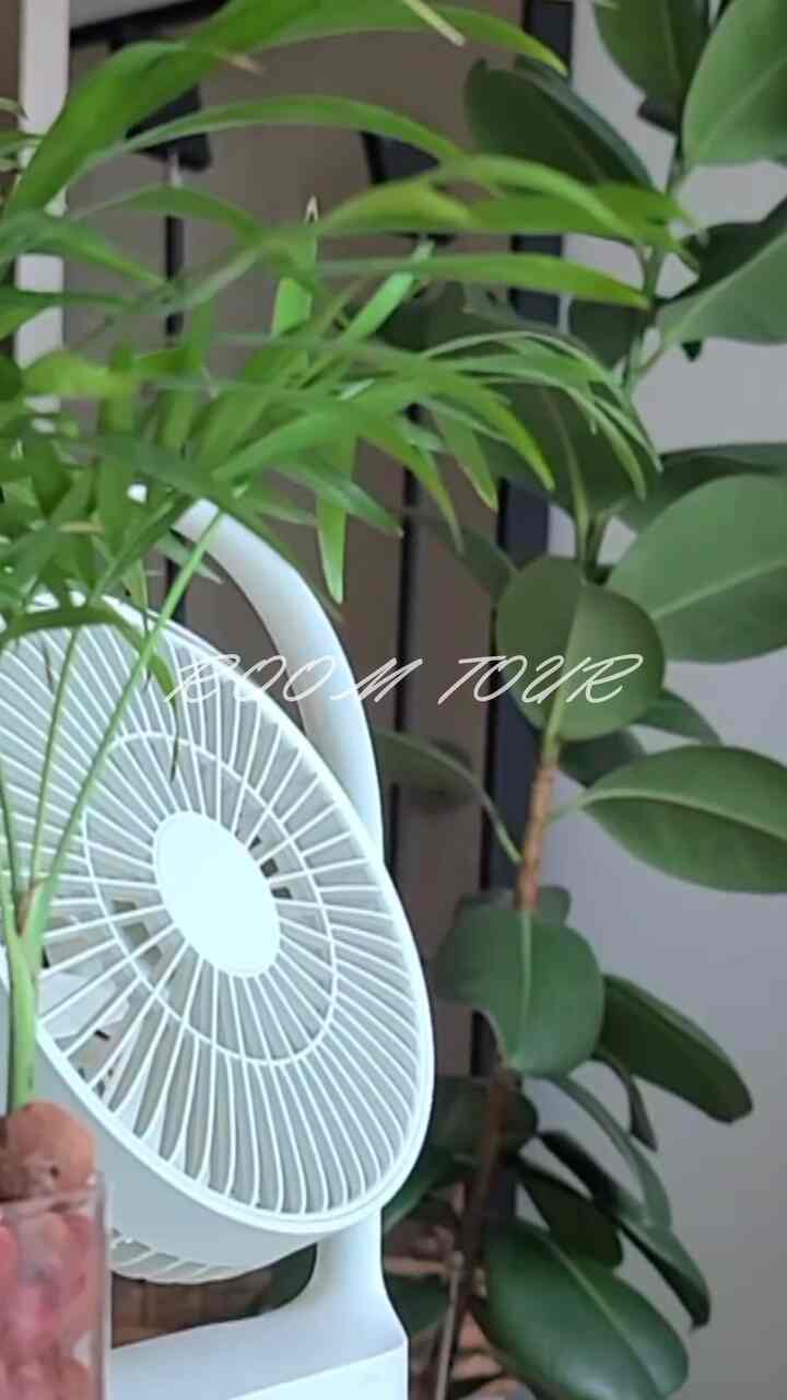 小さなルームツアー 静かな癒しが可能🌿  #여름데코 #동영상 #수납함 #수납선반 #주방수납장 #원목수납장 #다용도수납장  #가구  #플렌테리어 