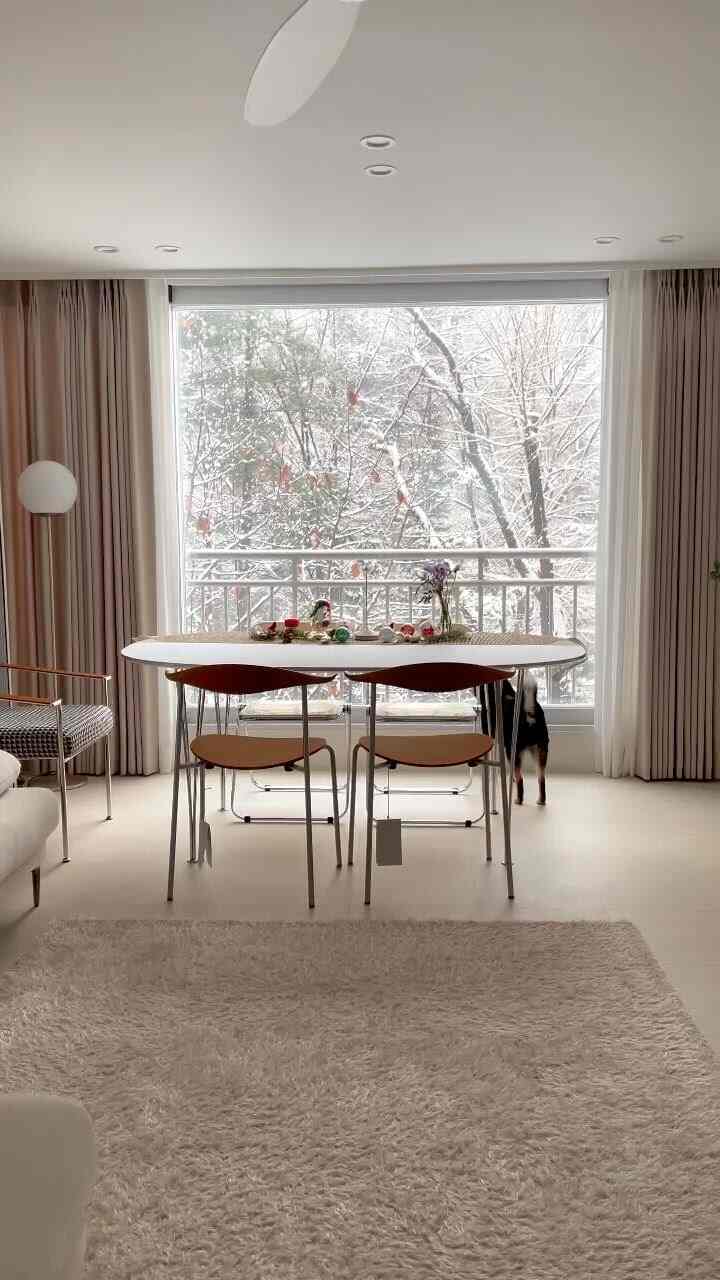 #whitechristmas ☃️🎄
今日は雪がきちんと降りましたね❄️

＃クリスマスキャロルを聞いて＃ホームパーティーを準備するこの時間がなぜこんなに良いのか🫶🏻

私の家＃隠された宝物を見つける主人公は黒ですよ🖤
クリスマスプレゼントのような存在であり、本当に純粋な私たちの宝物です✨

みんなメリークリスマスです🎈

#オーハウスシーズン9 #リビングリモデリング #リビングインテリア 