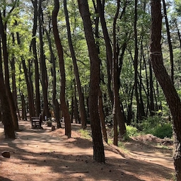 오랫만에 등산. 
발톱에 멍들었단 핑계로 등산은 조금, 먹는거는 매니.
오늘 저녁엔 진짜 굶기로😂
#등산 #피크닉 #스노우피크 #나들이 #캠크닉 #picnic #camping #weekend #snowpeak