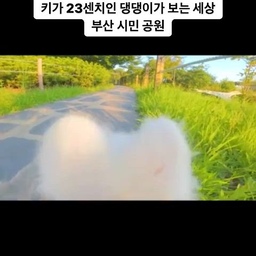 부산 시민 공원 접수하고 왔어!
댕댕이 친구들도 많이 만나고 예쁨도 많이 받고 왔다? 🥰
#부산 #부산시민공원 #pov #fpv #1인칭 #액션캠 #인스타360 #브이로그 #vlog #브이로그카메라 #insta360 #go3 #반려동물 #강아지 