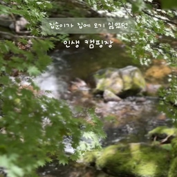 #나만알고싶은공간
왜 휘게휘게 하는지 알겠는
캠핑 1n년차에 만난 인생 캠핑장🤌🏻
저번 주에 다녀온 
이미 너무나도 유명한 곳이예요.
숲이 아름답고
초록으로 둘러싸여 그늘에서 자연을 즐길 수 있어요.
숲산책 계곡 폭포 잔디까지,
머무는 내내 힐링요소 가득🌳🕊️
음식이 부족해도 걱정없을 다양한 식품과 각종 주류
라꽁비에트 버터까지 구비 된 덕희상회(매점) 
매우 인상적이었고,
깨끗하고 감성적인 개수대와 화장실은 완벽했어요🙌🏻
예약이 풀이라 선택의 여지없이 스테이를 이용했는데요.
텐트에서 저녁먹고 불멍하고 신나게 놀다가
잠은 숙소에서 쾌적하게 자는 시스템.
최고 아닌가요..🥹
짐도 확- 줄고, 정리도 편하니 부담이 없더라구요.
자연은 즐기고 싶지만 잠자리가 걱정이신 분들도 
참 좋을거 같아요➰
또 가고 싶은 곳! #휘게포레스트
지인이 추천해준 캠핑장 근처 식당에서 점심먹고 마무리-
두부&수육 with 막걸리는 맛도리 ♥ 
#캠핑 #캠핑장 #강원도여행 #강원도캠핑장 #평창캠핑장 #캠핑장추천 #5성급캠핑장 #계곡캠핑장 #평창맛집 #국내여행 #camping #camper #snowpeak #스노우피크 #스탠바이미고 #캠핑용품 #불멍 #인생캠핑장 #캠핑요리 #오늘의집 #맞팔