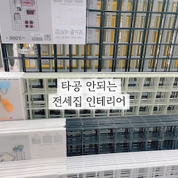 #셋탑박스숨기기 #다이소네트망 #다이소 #다이소살림템 #TV선정리 #TV셋탑박스 #셋톱박스숨기기 #스탠드tv 