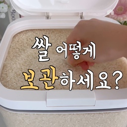 ★쌀 보관하는 방법
쌀 포대 그대로 보관시 밀폐가 제대로 되지 않아
점점 신선도가 떨어지게되고 쌀벌레가 생기기 쉬워요
밀폐력이 좋은 통에 담은 후 냉장고에 보관하는게 가장 좋고
용량이 커서 상온 보관 시 직사광선이 없고
통풍이 잘되는 서늘한 곳에 보관해주세요💛
제가 보관한 쌀통은
원터치로 열고 닫기가 간편해서
한손으로도 가능해서 좋더라구요
또 실리콘패킹이 뚜껑과 원터치캡 부분에도 별도로 있어 밀폐력이 높아요
계량컵도 같이 들어있어서 따로 살 필요 없음!
추천합니당 👍🏻
#쌀통 #kitchenorganization #살림템  #살림살이 #살림 #살림노하우 #살림꿀팁 #쌀보관함 #쌀통10kg #쌀통5kg #냉장고정리 #잡곡통 #주방정리 #냉장고수납 #살림공간 