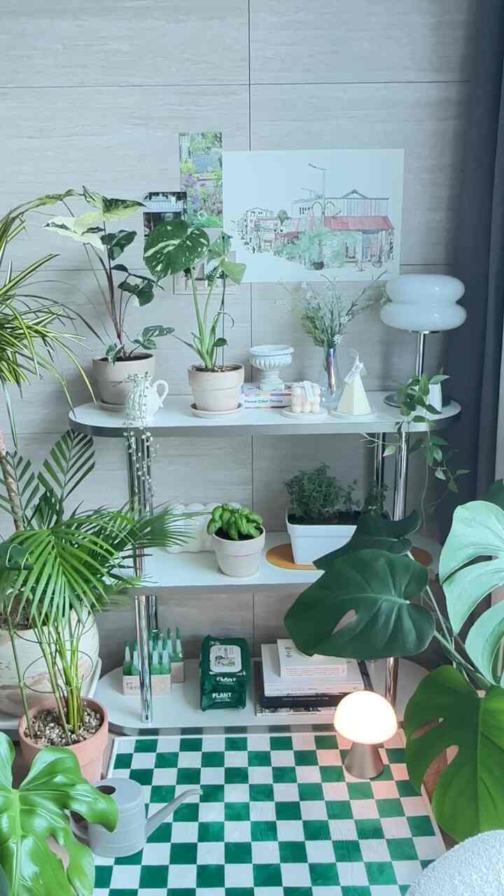 アパートプランテリア🪴
暑い天気の植物も疲れています。 
涼しい場所に一緒に集まりました。🌿

＃グリーンインテリア＃アパートガーデン＃植民地時代＃グリーンテリア＃プランター
#interior #interiordesign #interiordecor #interiorlove #cosyhome #livingroom #livingroomdesign
#livingroomdecor #designinspiration
#homedecor #midcenturymodern #homedecoration
#cornerofmyhome #darkacademia #cosy #lights #apartmenttherapy #apartment