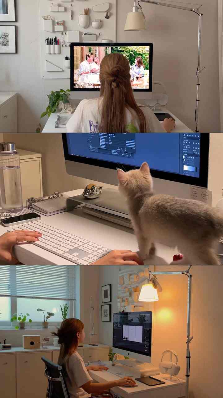 清潔感のある白いトーンとナチュラルな木製家具が配置された在宅勤務用ホームオフィス、猫がいる落ち着いた雰囲気の空間