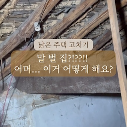 낡은주택고치기 - 이거 어찌해야 한단 말입니까?!? 점검구 만들어 올라가보니... 어마어마한 크기의 말 벌 집 !!
.
.
이미 비어있기는 한데 ... 
이거 어떻게 해야 하는지 아시는 분 계실까요?
.
.
#말벌집 #주택인테리어 #주택리모델링 #칠봉댁 #마당댁 #전주주택 #집고치기 #전기공사 #전주한옥마을