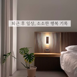 퇴근 후가 기다려지는 집에서의 일상 기록📝(영상편)
직장에서 퇴근하고 집에 와서도 끝이 아닌!! 
저희 부부의 일상🥹
집에 와서 집안일, 육퇴까지 끝나야 진정한 퇴근!이랍니다🙌
육퇴까지 한 다음 신랑과 함께 후다닥 테이블 셋팅 후
짠~!🍷 하면 다른 행복 부럽지 않아요🤍
여기에 저희 집 동네뷰 보면서 침실 간접조명으로 
밤 무드까지 셋팅하면 힐링이 두배가 되더라구요👍
퇴근 후가 기다려지는 또 다른 일상 중 하나는
가족과 함께 좋아하는 드라마 시청하기!📺
여기에 거실 간접조명만 켜고 은은한 밤 무드로 
셋팅 완료 한 다음🌙✨
소파에 누워 이불까지 포~옥 덮고 있으면 행복이 2배랍니다🤍
일주일에 2~3번은 퇴근 후 조명을 켜고 감성적인 분위기로 셋팅한 다음, 서재방에서 온전히 나 혼자만의 시간을 즐겨요🤍
나만의 후다닥 루틴으로 하루를 마무리하고 불끄기 전 깨끗하게 정리 정돈된 주방과 거실을 바라보면 뿌듯하고 기분이 좋아진답니다.🙂
잠들기 직전 침대 프레임 조명만 켜고 신랑과 수다타임 또는 핸드폰을 조금 하다가 잠들기까지 하면 퇴근 후 하루 마무리 끝!🙌🌙
#퇴근하고뭐하집 #육퇴 #침실인테리어 #조명인테리어 #거실조명 #침실조명 #모둘소파 #원형테이블 #테이블세팅 #야식 #85인치tv #호텔침구 #호텔식침구 #주방정리 