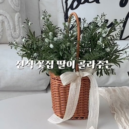 #다이소추천템 
(🔊목소리로 말해요) 전직 꽃집딸이 골라주는 다이소 조화 5탄!
오랫만에 다이소에 갔다가
발견한 이것!
색감이 매력인 안개꽃 조화에요.
가랜드로 만들어도 예쁘죠?😍
마 리본까지 3천원으로 가랜드 완성!
지철사는 작년 크리스마스 트리
리본오너먼트 만들때 사둔건데
한번 사두면 여기저기 유용하게 쓰여요~
(올해도 리본오너먼트 유행하려나요?🤔)
참고로, 내구성을 높이려면
양면테이프 보다는
글루건으로 붙이는게 좋을거 같아요!
사진 찍고나니 리본 뚝 떨….
글루건으로 다시 붙였슴돠ㅋㅋㅋ
겨울엔 여기에 목화꽃 붙이고 빨간 리본 달면
크리스마스 가랜드🎄되고요,
계절에 맞는 꽃 한두송이 바꿔붙여주면
사계절 내내 달아둘 수 있어요😉
아니면 그냥 화병에 꽂거나
꽃바구니에 꽂아두고 마 리본으로
리본만 묶어주면
인테리어 소품, 촬영 소품으로도 굿👍🏻
한 번 사두면 휘뚜루마뚜루
쭉 사용할 다이소 조화에요🤍
이 조화는 꼭‼️ 5개 사오세요‼️
이유는 다음 릴스에😉
🏷️제품정보
안개꽃 천원(품번 : 1052287)
마 리본 천원(품번 : 1042647)
🏠DIY가 즐거운 뉴라네집
🫶🏻팔로우하고 꿀팁 얻어가세요
#다이소DIY #다이소추천템 #DIY소품
#가랜드만들기 #다이소가랜드 #다이소추천
#다이소크리스마스 #가랜드조화 #조화가랜드
#조화인테리어 #리폼인테리어 #벽장식
#벽꾸미기 #조화꽃 #조화스타일링 #조화추천
#조화소품 #사부작러 #사부작사부작 
다음엔 어떤 다이소 조화를 찾아볼까요?
