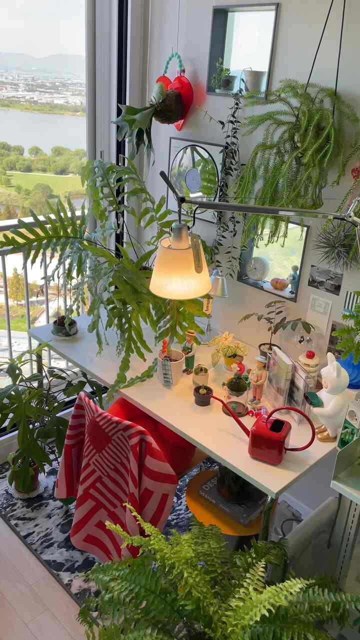 ＃私たちの家フォトゾーン 

キッチンガーデンの大変身と共にニューフォトゾーンが誕生しました！ 😎
じっくりと集めた小屋のポイントショッピングで 
私の心を埋めるのは楽しいです。
私のおかげで、私はロマンの実現です！😘🫶🏻
＃ベゴニアソヨカゼは貧弱ですが、花のニュースもあります。
愛草を播種したがネギまで得た 
これは本当に真の1タ2血ではありません！！！
その上、編まれて現れた愛草が、私の友人の贈り物
#ゴールデンリーフマクランチョラダーダー

#フランテリア #UFOKIDLAMP #WVYM
＃ワユメ＃ホームスタイリング＃シェルフインテリア
＃植民地成長期＃ペットフード＃今日の私たちの家
＃今日のガーデン＃ナドクリエーター＃