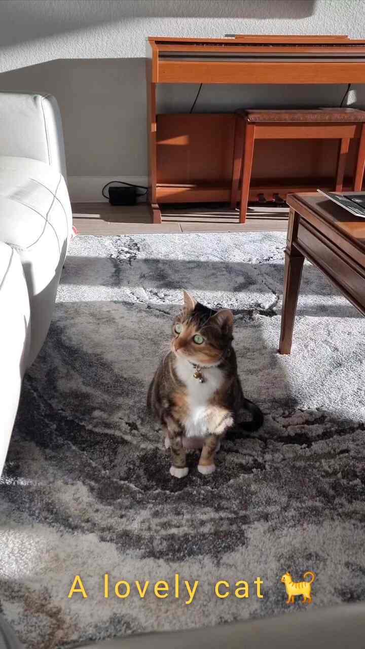 #今日の10秒 
アメリカ・テキサス・ヒューストンのお兄ちゃんのかわいいロッジ～
写真だけで実際に見るととても可愛いです❤️
目を覚ましたときも避けずに、きっと近づく姿がきれいです。

＃ペットの動物＃猫＃猫の家＃猫の家の家＃猫の家＃リビング＃アメリカの家＃アメリカ＃アメリカのインテリア＃アメリカ旅行＃海外旅行＃海外インテリア＃海外肉＃ペットの墓＃ラグ＃リビングラグ＃リビングインテリア＃リビングを飾る＃ペットと一緒に＃日当たりの良いレストラン＃日当たりの良い家＃日当たりの良い日＃家のインテリア＃住宅の肉＃タウンハウス＃タウンハウスインテリア 