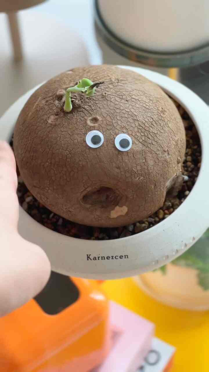 𝘅 𝗔𝗟𝗨𝗔 製品提供
⠀
オレンジ/イエローカラー好きな人ですか？
冬にはレッドカラーまで追加して赤ジュノーカラーを追加してみようと思いましたか？
⠀
リビング家具ブランドアルアで石畳の有機的な形からインスピレーションを受けたビスポークテーブルは
2段、2.5段、3段でお好みの高さと多様なカラーの組み合わせが可能です。
⠀
国内の自社生産で流通マージンを最小限に抑え、価格も安く
手軽に組み立てることができてより良かったですよ！
⠀
素材もアクリル、レザー、ウッド、スチールなどになっており、我が家のムードと合わせて選べば良いということヽ( ᐛ ) #소파테이블 #아크릴테이블 #table #sofatable #집스타그램 #집꾸미기 #집꾸미기그램 #가구 #우리집포토존 #오늘의우리집 #컬러풀인테리어 #컬러풀가구 #알루아테이블 #알루아 #컬러인테리어 #컬러포인트 #컬러테리어 #컬러테이블 