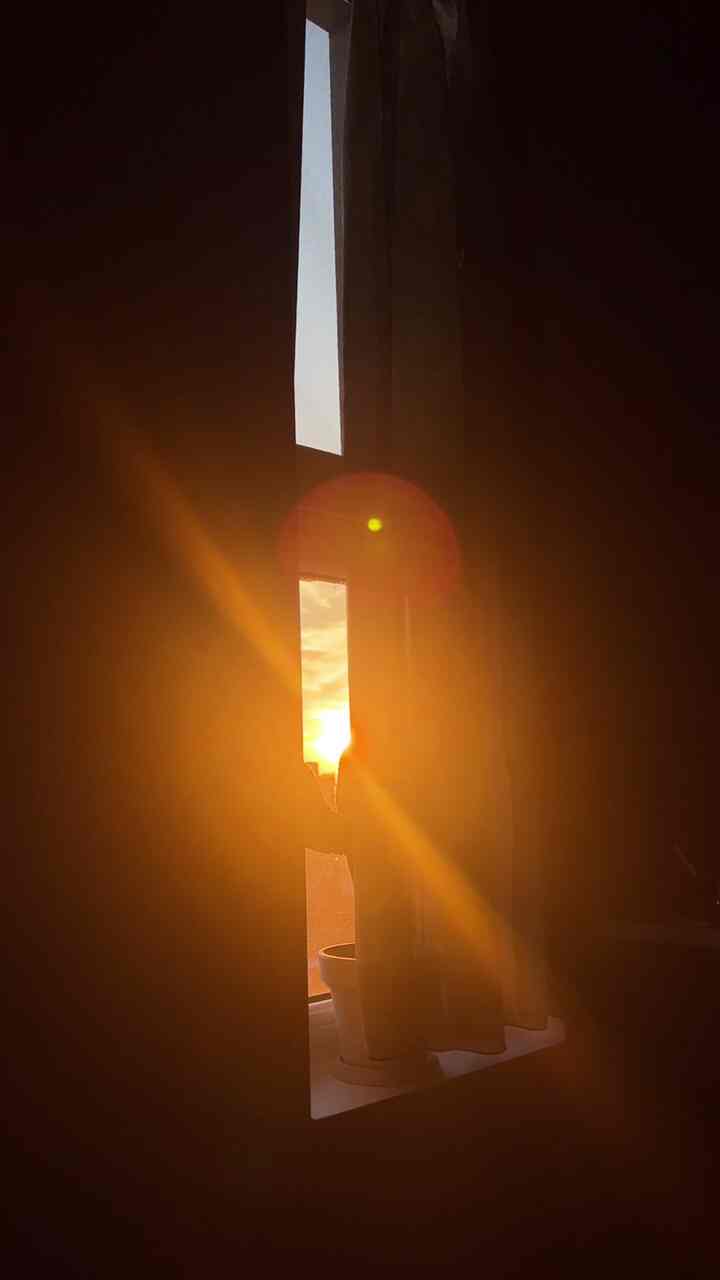 南向きが良い理由🌅夕焼けビューはもちろん
太陽が家の中に深く入る
日差しの余韻を最後まで楽しめます -  #남향거실 #창문 #창문뷰 #창문커튼 #창문인테리어 #창문가리개 #커튼 #패브릭포스터 #화분 #식물 #플랜테리어 #플랜트인테리어 #플랜테리어소품 #플랜테리어화분 #선인장 #압축봉 #압축봉커튼 #압축봉활용 