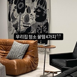 ✨우리집 청소 꿀템 4가지 추천✨
1️⃣ 스위퍼 더스터 먼지털이개 (코스트코 구매)
그동안 먼지털이개는 선반의 먼지를 바닥으로 날려보내는(?) 용도라서 결국 청소기를 다시 돌려야했다면 주목‼️ 
이 제품은 먼지가 날리지 않고 착 붙어요 너무 좋아하는 청소템입니다🧹 선반이랑 조명, 거울의 먼지 쓸어줄 때 최고👍🏻
2️⃣ 캐럿 가죽클리너 + 가죽 보호제
가죽가방 관리로 구매했다가 소파관리제품으로 더 많이 사용하는 제품✨ 저희는 벌써 두번째 구매에요🤘🏻
화장품 묻은 손으로 가죽을 만지게 되면 하얀 얼룩이
남는데 가죽 클리너로 금방 제거되니 스트레스 다운🖤
여기에 보호제 코팅해주면 반짝반짝 가죽광이 살아나는✨
3️⃣ 스카트 유리 거울 세정티슈 (코스트코 구매)
이걸로 거울, 유리 닦아주고 말리면 물자국 없이 깔끔해진 마법을 볼 수 있어요🪞✨ 그동안 물걸레로 닦고 물자국이 싫어서 마른걸레로 닦으며 2중으로 관리해왔는데 한번에 해결되는 기특한 제품!!
4️⃣ 테이프클리너 
쿠션에 붙은 먼지 제거하기 딱 좋은 테이프클리너
이건 다들 유용하게 사용중이실 꿀템이겠지만요🫶🏻
제가 사용중인 제품을 못찾아서 특가제품으로 태그!
그동안 저처럼 스트레스 받았던 부분에 공감하신다면
해당 제품 꼭 구경해보세요😍🫶🏻✨
#주말에제일바빠 #집에서제일바빠 #집관리하기 #청소꿀템 
#가죽소파관리 #유리세정제 #유리세정티슈 #거울청소  
#콘수프기록 #테이프클리너 #가죽클리너 #가죽보호제
#먼지털이 #먼지털이개 #청소템추천 #ftc5기이야기