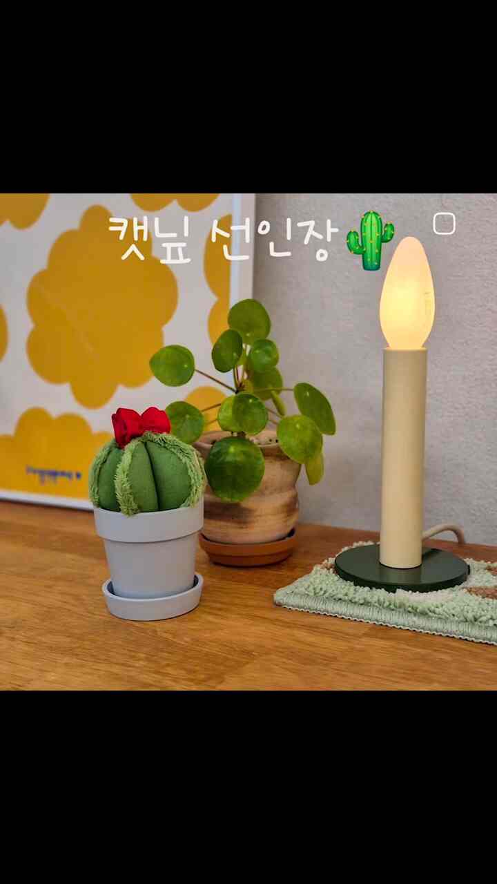 #제품제공

ニャンと一緒にガードニングを夢見ますか？

植物だけ見れば食べてしまうニャン！
緑だけが見えたら掘り下げて見るニャンたち 😭

まさにヨーキャットサボテンなら解決!!👌

植木鉢の棚に置いても、家のスペースがスルリックに溶け込むキャットサボテンです🤍
誰があなたが物品だと思いますか？😁

🌵キャットサボテン
✅️ニャン執事も可能なプランテリア  #시즈닝랩 #집사가든 #캣닢선인장 #캣닢쿠션 #캣닢인형 #고양이식물 

