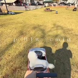 강아지 데리고 놀기엔 더할나위 없이 훌륭한 애견 캠핑장에서 할로윈캠 기록 남겨보아요! 🥰
수도권에서 한 시간 남짓한 거리에 장박을 할 수 있을만큼 아주 큼지막하면서 개별 울타리까지 갖춰진 사이트와 댕댕이들이 맘껏 뛰놀 수 있는 잔디광장, 강아지 샤워실까지 갖춰진 이곳은 바로
📍 라포레 애견 캠핑장 (충남 아산시)
🏷️
#캠핑 #오토캠핑 #감성캠핑 #솔로캠핑 #솔캠 #맥시멀캠핑 #할로윈캠핑 #애견동반캠핑장 #애견캠핑 #캠핑인테리어 #halloween #할로윈 #에어텐트 #네이처하이크 #텐트