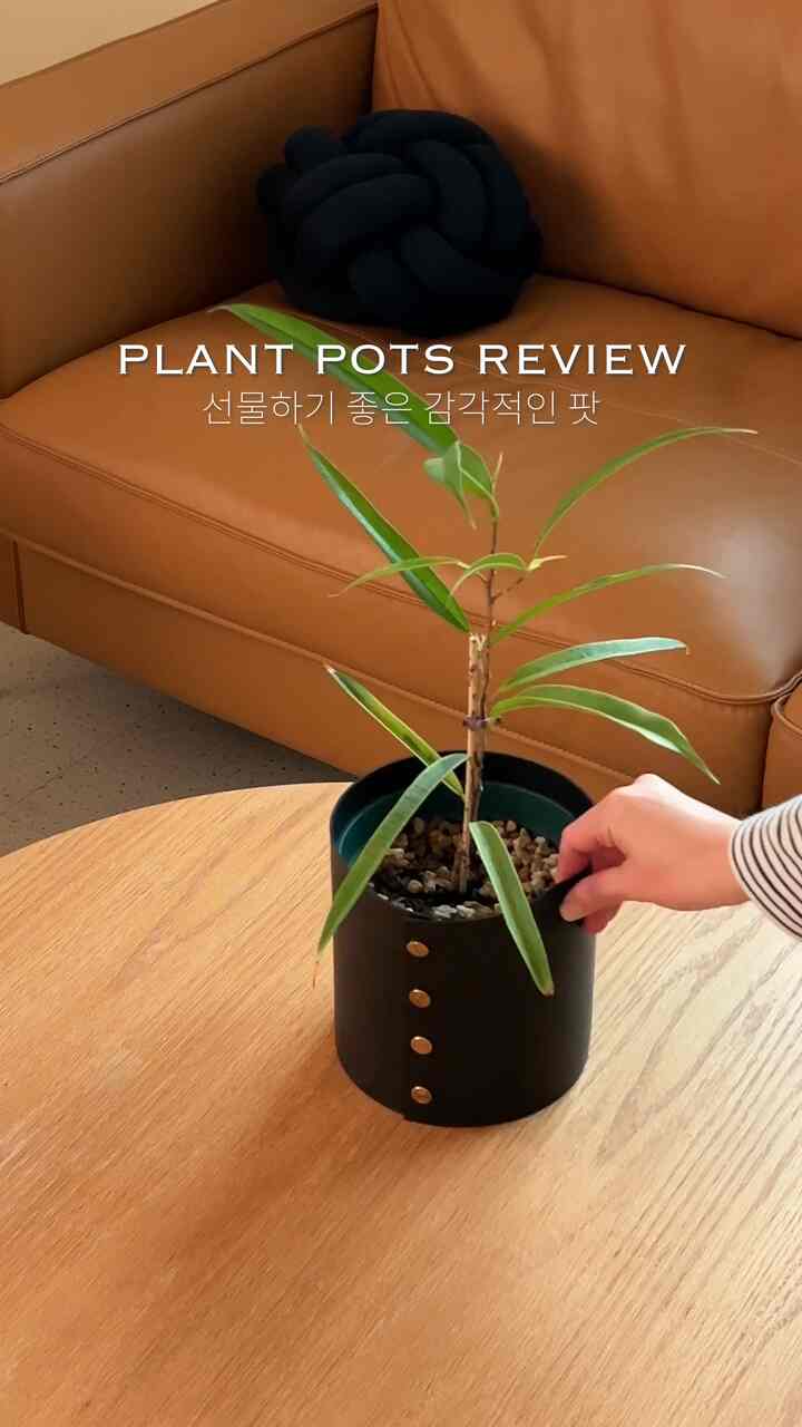 プレゼントしやすい感覚的なポットおすすめ✨

明るい植木鉢ではなく、このユニークで感覚的な
植木鉢でホームスタイリングしてみてはいかが～！

1.プラッツ@plats_official
ムードに合わせて簡単に交換できるポットカバーです。
デザインと色味を選ぶ楽しさが撮影！
シーズンごとにインテリアにポイントを与えるのが好きです🫶

2.バリダーティ@vi.rid.i.ty
聖水植物編集ショップティルテーブルですぐ
連れてきた友達です！
どんな植物を植えてもよく似合います:)

3.ギズスタジオ@gizstudio_
最近、私が抜けているブランド🥹
ぴったり落ちるシンプルなラインと粗い質感、
ユニークなパターンがとても魅力的です。
種油ごとに全部欲しいブランドです。

N年目、Nヶ月目満足しながら使用中
ミア’s PICK  #토분 #토분화분 #토분인테리어 #식물인테리어 #식집사 #홈스타일링 #화분선물  #화분선물 #화분커버 #식물일기 #맞팔 #식집사일기 #화분인테리어 #식물데코 #식물키우기