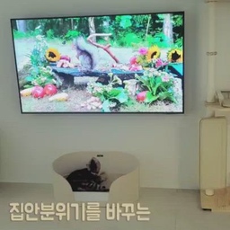 작은 평수도 완벽해지는 예쁜 가전템 추천할께요. 
1. 삼성 QLED 55인치 TV
"55인치, 작은 집에 너무 큰 거 아니야? 싶었는데, 정말 딱이었어요!"
평수가 작아서 큰 TV가 부담스럽지 않을까 고민했는데, 결과적으로 정말 잘 산 선택이었어요. 
영화 볼 때는 말할 것도 없고, 고양이들도 새 나오는 영상 틀어주면 화면에 딱 붙어있을 정도로 몰입감이 뛰어나요. 
화질이 워낙 좋아서 역시 QLED ! 라는 느낌이랄까 ㅎㅎ
#예쁜가전잘산템 #삼성 #QLED #TV추천 #55인치 #소형평수
2. 삼성 비스포크 키친핏 615L 냉장고
"이 냉장고 하나로 주방이 완전히 달라졌어요!"
처음에는 그냥 깔끔하지만 특별할 것 없는 주방이었어요. 
그런데 이 냉장고가 들어오면서 분위기가 확 달라졌어요. 
부드러운 초록 포인트가 들어가서 주방에 포인트가 생기더라구요.
 게다가 615L의 넉넉한 용량이라 가족이 함께 써도 부족함이 없어요. 
김치냉장고 옵션까지 있어서 실용성도 굿잡. 정말 추천드려요. 
#키친핏 #냉장고추천 #삼성키친핏 #냉장고 #소형평수
3. 르젠 앱연동 초절전 리모컨 서큘레이터 선풍기
"앱으로 켜고 끌 수 있는 선풍기, 진짜 신세계!"
평범한 선풍기랑 다르긴 하더라고요. 디자인이 워낙 예뻐서 방에 그냥 두어도 인테리어처럼 보이는데,
앱으로 조절까지 할 수 있어서 누워 있다가도 간편하게 바람 세기를 조절할 수 있어요. 
여름밤에도 굳이 일어나지 않아도 되는 게 이렇게 편할 줄 몰랐네요.
마침 BLACK FRIDAY 세일 중이라 구매 타이밍 딱이죠? 사실 가격이 선풍치고 조금 나가긴 해요.
그런데 한번 사면 거의 평생 쓰는 거잖아요! 무소음에 가까운 조용한 바람까지 더해지니 충분히 투자할 만한 제품이에요. 
만족도 200%입니다! 😊
#선풍기 #르젠 #BLACKFIDAY #세일 
