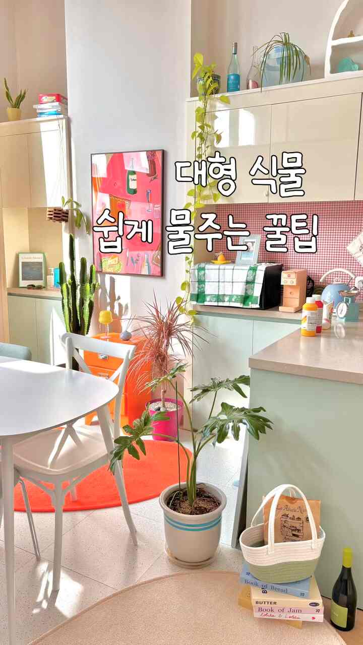 大型植物は簡単に水を与える蜂蜜のヒント🍯🐝
私は一度バスルームで植物シャワーを与えます。
普段はまばらで植物を移す必要なし
鉢植えの場所に置いておきます。
私は山の大王スポイトです😉

#植物インテリア #컬러인테리어 #복층오피스텔 #식집사 #colorinterior #vintagestyle #거실 #거실인테리어 #화분 #살림템 #살림노하우 