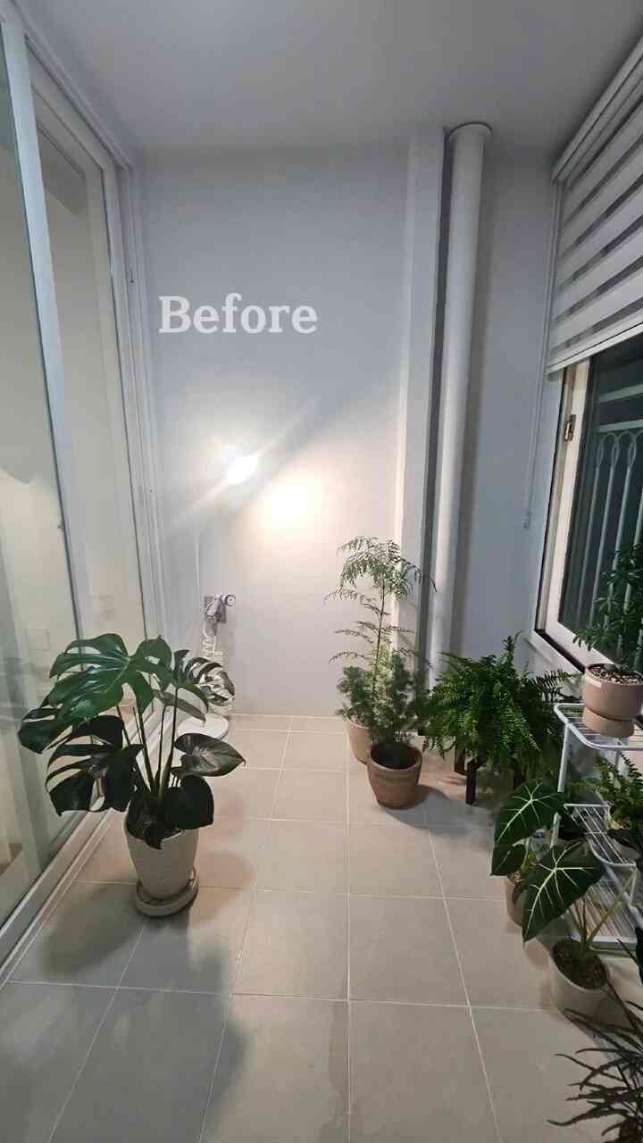 我が家一つだけのベランダ 
運動器具で満たしたい夫と
植物でいっぱいになりたい妻の 
2年以上の気分の戦い中です。
夫の配慮（あきらめ？？）で
ベランダガードニングスペースを作ることができました😂 
運動器具にんじんに送る 
撮っておいた写真があってビポエフター残してみてください！
まだ哀れですが、より豊かで楽しいです 
植物でいっぱいになりたいです❤️ 

＃初心者執事＃ホームガードニング＃ベランダガードニング
＃グリーングリーン＃すごいスペース💚 
＃ビポエフター＃ベランダを飾る 
#plants #planterior #indoorplants #homegarden
#お会いしましょう 

#ftc12期 #ftc12期話 
＃私たちの家フォトゾーン 