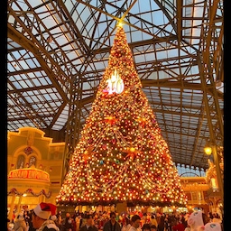 도쿄 디즈니랜드 트리🎄
작년 초딩딸과 다녀온 도쿄여행에서 찍은 사진이에요,,
아무트리챌린지로 앨범에 잠들어있던 사진을 다시 꺼내보니 정말 화려하고 예쁘네요 ◡̈
디즈니랜드 트리도 정말 예뻤지만 롯폰기힐즈에서 본 일루미네이션이 진차 장관이었던,,
#아무트리챌린지 #도쿄디즈니랜드 #도쿄여행 #크리스마스트리 #맞팔 #맞팔환영