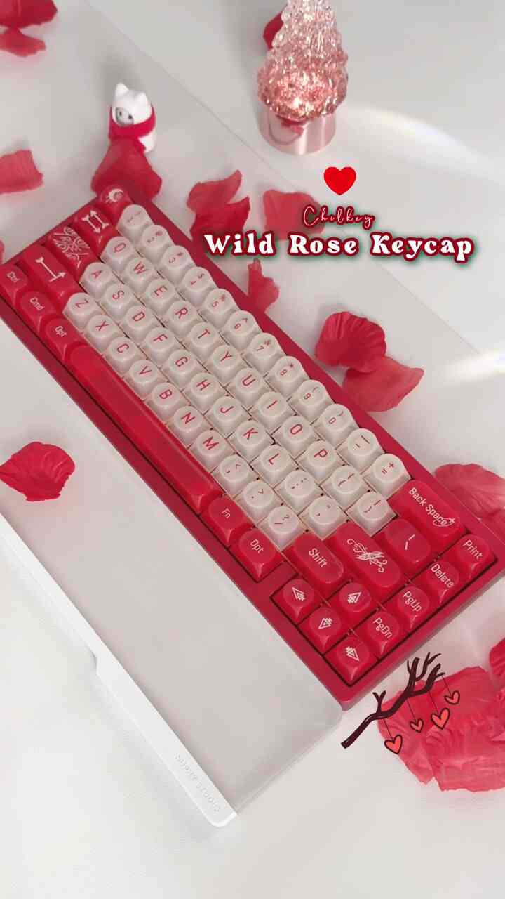 
＃提供された魅力的なルビーキーキャップ🥀🕯️
Chilkey Wild Rose DDA Keycaps 🍒 🥀🕯️

Chilkeyが送ったルビーのようなキーキャップを使ってみました。
チェリーレッドカラーなので魅力的なカラーです
まるで花雨が降るような感じ❤️🥀


前回の映像に続いて
Lucky65 V2を補強板と下部フォームを抜く
クラッキービルドをしました。
確かにいっぱいの音ではなくて鳴る音がよく聞こえます。


🍒🥀🕯️
⠀

⠀
🏷️Keyboard Typing info
⠀
𓂃✧ weikav Lucky65 V2
        - No Case, Plate Foam
𓂃✧ HMX Catmint
𓂃✧ chilkey Wild rose DDA keycap
⠀
⠀
⠀
⠀
＃デスクテリア＃デスクスペース＃デスクアイテム＃デスクギア⠀
#キーボード #キーボードおすすめ #キーボードダック #キーボードビルド #chilkey #chilkeykeycap #chilkeywildrose 
#weikav #lucky65 #lucky65v2 #hmx #hmxcatmint 
#cutekeycap #cutekeyboard #mechnicalkeyboard #keebs 
#customkeyboard #keyboard #transparentkeycap 