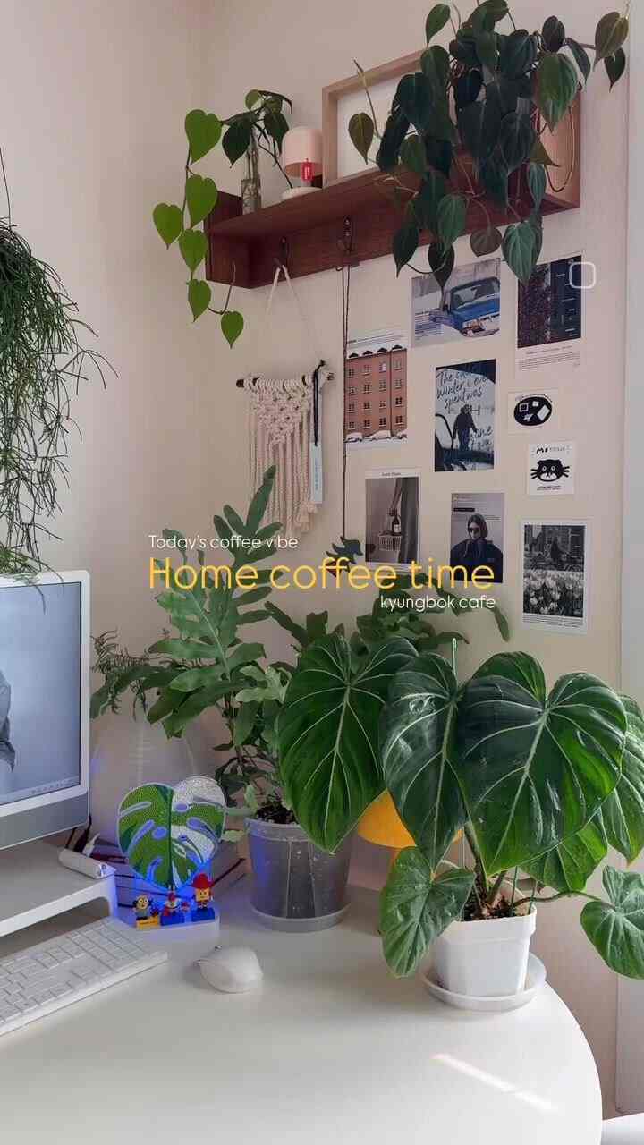 • 
サイズが小さくても可愛すぎるホガナスランダバンダ。
植物からも連れて行きたい子が多いけど
ヴィンテージマグにも連れてきたいお子様がいっぱい。

ショッピングカートにはとても迷惑があります。 
希少植物ほどビンテージマグも身代金がとても邪悪ですね。
副作詞副作一つずつヤゴムやクマ集めてきたのはかなり多いですが
まだ行く道はグマンリです。😅

今日もコーヒーを降りて飲んで、もう下院ピックアップガヤジュ！
十二時になるとは扉が閉まる… .ではない 
午後4時になると、彼は来ます！です🤣

#植物 #植民地 #プランテリア #planterior #植物インテリア
#デスクテリア #デスクインテリア #デスクインテリア #インナージョギング
#ホームカフェ #ホームコーヒー #今日のコーヒー #deskterior 
＃ビンテージティーカップ＃ホガナス＃ホガナスランダバンダ 
＃ftc8期の話＃ftc8期＃植民地成長
＃自宅で最も忙しい＃植民地時代＃コンスープ記録＃家の蜂蜜の組み合わせ 
＃今日の家＃今日のガーデン＃今日のガーデンチャレンジ
＃今日の私たちの家＃今日の私たちの家チャレンジ

•