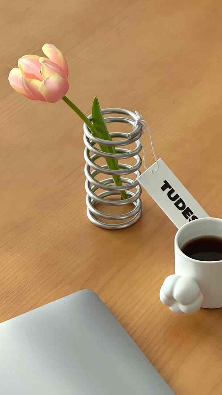 #広告
映像で見ると、よりハマるスパイラルホルダーが魅力！
花一本が挿しておいたので

全フィードでホルダーを横にしてCDアレンジメントとして活用した姿に 
多くの方々が褒めてくれて気持ち以上良かったじゃないですか🤟
本当に無関心な活用度まで大満足しました。

私だけがいないと思いました… 
ないと言われた方々かなりありましたよ！
もうすぐ来るバイナリウィークでは、今は👀🙄
購入する時が来ました🙌

//
今日の家バイナリーショップの最大のイベント、<バイナリーウィーク>
📆 3.17(月) ~ 3.30(日), 14日間進行されます 🔜

•毎日オープンするワンデー超特価ディル
•今開いているハイエンドブランドの製品販売
私が紹介したトゥデスのスパイラルホルダー
バイナリウィークでお会いできます🩵

🏷️バイナリショップ @binaryshop_official
🏷️今日の家 @todayhouse
🏷️トゥデス@tudes_official

＃今日の家＃バイナリーショップ＃バイナリーウィーク＃インテリア
#binaryweek #binaryshop #tudes #トゥデス 
＃鉄テリア＃家の贈り物＃5万ウォン以下の贈り物＃かわいいテム最高 