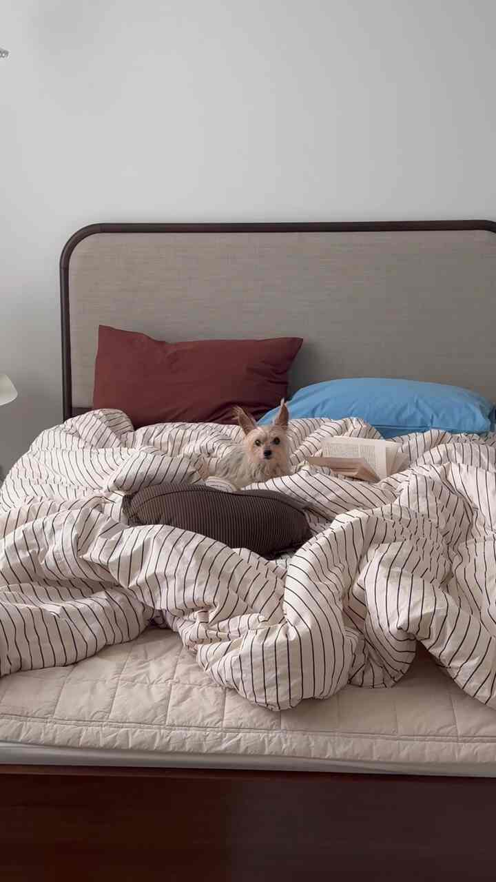 Calm brown and white toned bedroom featuring a dog sitting on a cozy striped bedding