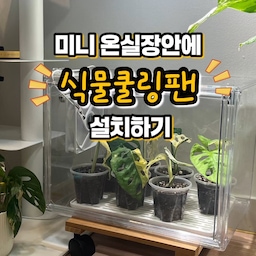 #오늘의가든 #노하우
오늘은 번외편!!
🌿미니온실장안에 식물쿨링팬 설치하기
3월초에 식물쿨링팬을 주문했는데
품절사태로 2주가 지나서야 받았지 뭐예요🥲
요즘 나한테 왜이뤠?ㅋㅋ
그래서 받자마자 부랴부랴 설치해줬어요
설명서대로 나사-자석을 조립해주고
아크릴온실안쪽에 자리잡아준후
추가로 같이 온 자석을 바깥쪽에서 붙여주면
아주 간단하게 고정돼요!!
원래 인두로 아크릴온실 구석부분을 녹여서
선을 빼주시기도 하던데,
전 인두가 없는 관계로 그냥 입구쪽으로
선을 빼주기만 했어요.
기존 아크릴온실을 살 때 통풍을 편하게 할수 있게
미니자석이 같이 오는데 그 자석으로 문을 고정하면서
살짝 열어둘수 있거든요.
그래서 그냥 문을 살짝 연 상태로 선만 빼줬어요ㅎㅎ
그리고 투명 다이소선정리고리로 정리해주면 끝
유묘들 잘 자리잡아주고
스위치를 딱 켜주면 위이이이~~
아주 약한 바람이 불어요
소음 진짜 거의없구요
바람도 아주 약해서 유묘들에게 딱일것같네요!!
#초보식집사 #식집사 #플랜테리어 #식집사성장기 #연재형시리즈 #식집사일상 #식물 #식물키우기 #식물키우기팁 #식물일기 #식물인테리어 #화분 #미니온실 #온실 #온실장 #미니온실 #식물쿨링팬 #쿨링팬 #환기팬 #식물선풍기 #환기 #선풍기