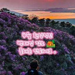 #다솜이네캠핑중 
지금 입니다. 라고 적고 싶었는데 고려산 진달래축제‼️
아쉽게도 산불 재난 국가위기 경보가 심각 단계여서 
축제가 취소 되었다고 합니다.
5월 15일까지 입산금지 라고 하니
아쉽지만 내년 봄을 기다려야 될듯 합니다.
항상 산불은 조심조심 ⚠️
화기 사용 절대 금지 🚫 
담배 절대 금지 🚫 
소중한 자연 우리모두 소중히 보존합시다 ‼️
#캠핑 #노지캠 #백패킹 #고려산 #진달래축제 #백패커 #진달래
#봄 #꽃축제 #진달래군락지 #캠핑소통 #등산 #산 #자연 #노을