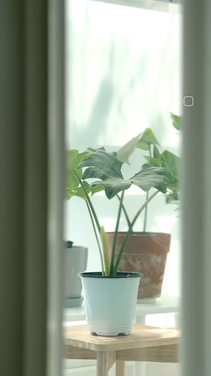 Half-Moon Wooden Shelf user photo