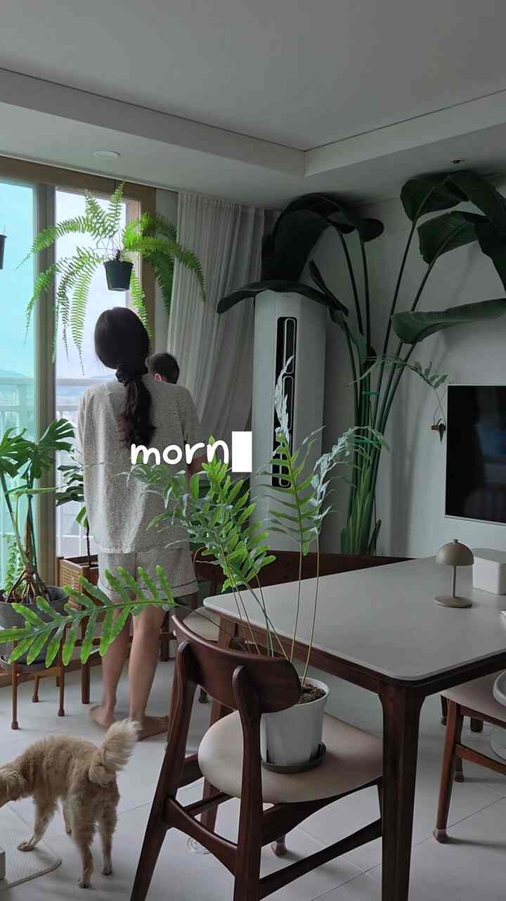 #morningvlog  #식물 #일상  #식탁