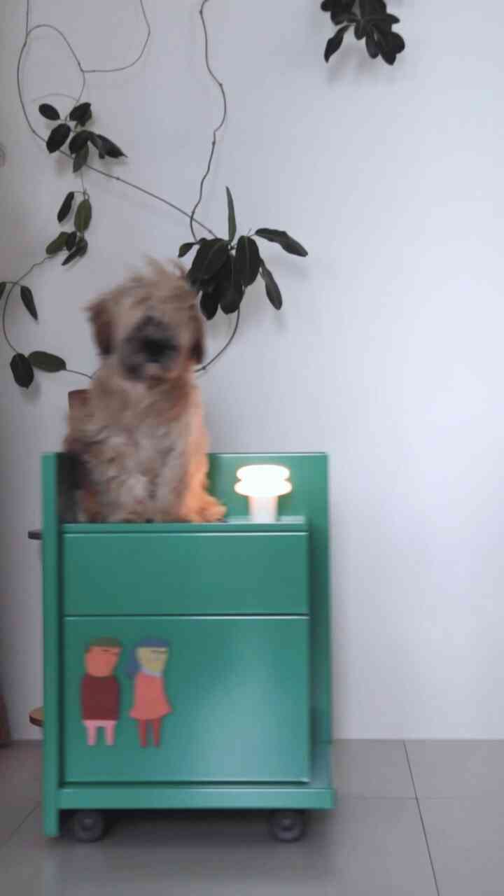 #광고 |ツイートをサイトに埋め込む 

我が家に加わったカラーハンスプーン、レアローエケトロリー

今回の映像では、どれほど細かく作られたのかを盛り込んでみました。
エケトロリーはS、Mサイズのキャビネットを
自由に積み重ねることができるモジュール型です。
私の家にぴったりの高さと構成に仕上げられます。

ボディはロー・ハイの2種類で空間に合わせて選択可能で、
デザイン自体がチャゴクチャゴク積みやすく設計されています
移動も楽で使い心地が大好きです。

👀本当に驚いたのは収納力！
人形豊かなパクボリの愛蔵品をMサイズのドロワーに入れてみました。
無限に入ったんです。
思ったよりもはるかに多くのものを整理できます。
小さなスペースにもすっきり収納が可能でした。

しかも、動きがスムーズで
150kgまでバーティンダという耐久性は本当にWOW！
家のどの空間にもスタイリッシュで実用的なトロリー、
スタイリングまで手に入れられる家具は珍しいですね。

今レアローでサマーセール進行中なので、
スペースに合ったモジュール家具を悩んでいるならぜひチェックしてみてください！

✔️商品情報
エケトロリーECKE TROLLEY |  #rareraw #에케트롤리 #ECKETROLLEY #트롤리 #모듈가구
