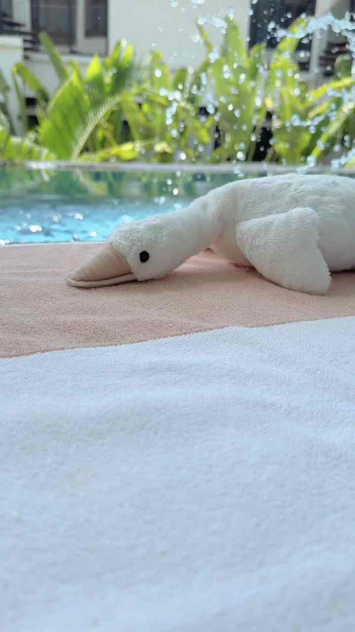 #내돈내산 #콘스프기록

ポソンの愛着人形❤︎
ブランガトのアヒル人形のつるが◡̎🪽

旅行に行くときもぜひ 
手に入れる必要があります✨ポソンの蜂蜜の眠りです。
夏休みも一緒に行ってきました。 

一緒に遊んだり 
ᜊ̆ ̆ ᶻ ᶻ ᶻ コオ 眠りにつく
つや消しを磁場磁場寝かせるポソイ❤︎

いつでもどこでも、ポソンが身に着けています。
持ち歩くのにぴったりの굱ᴍᴀʟʟサイズ◡̎
ボドルボドルの触感も良く、何よりも噛んでも
抜けがないのでとても良いです🙌🏻

家でも外でも 
갹갹러버뽀송이에오💤おすすめ

 

#ブランガト #오리인형 #애착인형 #출산선물 #돌선물 #백일선물 #국민육아템 #duck#plush#blancgatea