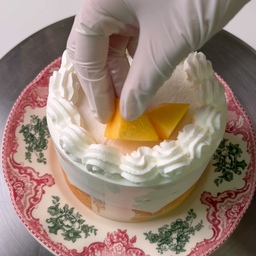 peach cake🍑🎂
지금 아니면 1년을 기다려야하는 여름제철과일 복숭아🍑🩷
제가 좋아하는 물복을 가득 넣어 케이크를 만들었어요-!
복숭아는 피부미용에 좋은 비타민C가 가득하고 피로회복에도 효과적이래요!
정말 더운 요즘, 복숭아 한 조각으로 기운 차리고, 피부도 챙기세요! 💪🍰
❓️황도와 백도 중 어떤 복숭아를 더 좋아하시나요❓️
#오홈스토랑 #콘수프기록 #복숭아 #베이킹 #홈베이킹 #baking #homebaking #홈카페 #homecafe #복숭아케이크 #cake #디저트 #케이크 #여름 #맞팔 #맞팔해요 #소통 #소통해요