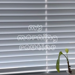 #mydailylog
#콘수프기록
my morning routine🌞
저의 아침 루틴 함께 하실래요?
일어나서 블라인드를 켜는 순간부터 하루 시작입니다.
폭풍 돌돌이, 침구 정리, 청소기 한 바탕 돌리고
안방 털털이에게 서큘레이터까지 틀어주고 나면
3층 침실에서 내려올 수 있어요
2층에 내려와서 아이 아침 준비하고
커텐 걷고, 실링팬 틀고, 모닝 음악까지 틀면
아침 루틴 완성!!
매일 일어나는 똑같은 일상이지만
변함 없는 똑같음이 좋은 집순이랍니다. 
#일상기록 #마이데일리로그 #일상루틴 #모닝루틴
#아침일상 #나의루틴 #나의일상 #루틴 #맞팔 #소통
#챌린지참여 #아침햇살 #아침풍경
