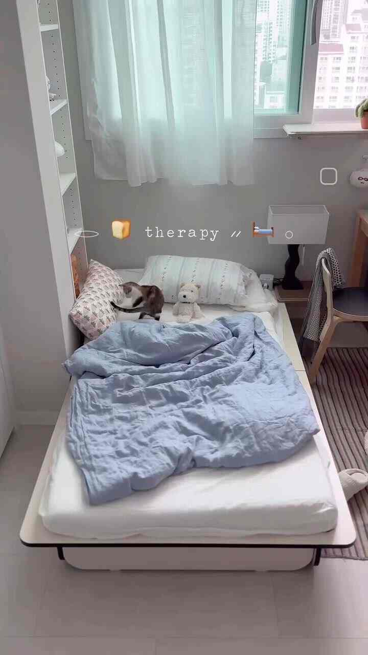 白と青のトーンの一人用寝室、猫とベッド、整理された収納家具がある落ち着いた空間