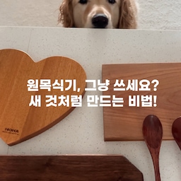 원목식기, 주방 세제로 닦지 마세요!
혹시 원목 식기를 주방 세제로 닦고 계신다면, 잠시만요!
 세제 속 화학 성분이 나무를 손상시키고 곰팡이를 유발해요.
이제 100% 천연 오일 왁스로 관리하세요!
* 안전해요: 화학 재료 1% 없이 천연 재료로만 만들었어요.
* 쉬워요: 마른 천에 묻혀 쓱쓱 바르면 관리 끝!
* 오래 써요: 물과 습기에 강해져 곰팡이 걱정 없이 새것처럼 쓸 수 있어요.
이제 왁스로 원목 식기를 안전하게 관리하고 평생 사용하세요.
#원목식기 #나무그릇 #원목관리 #주방템 #살림꿀팁 #주방 #주방인테리어
