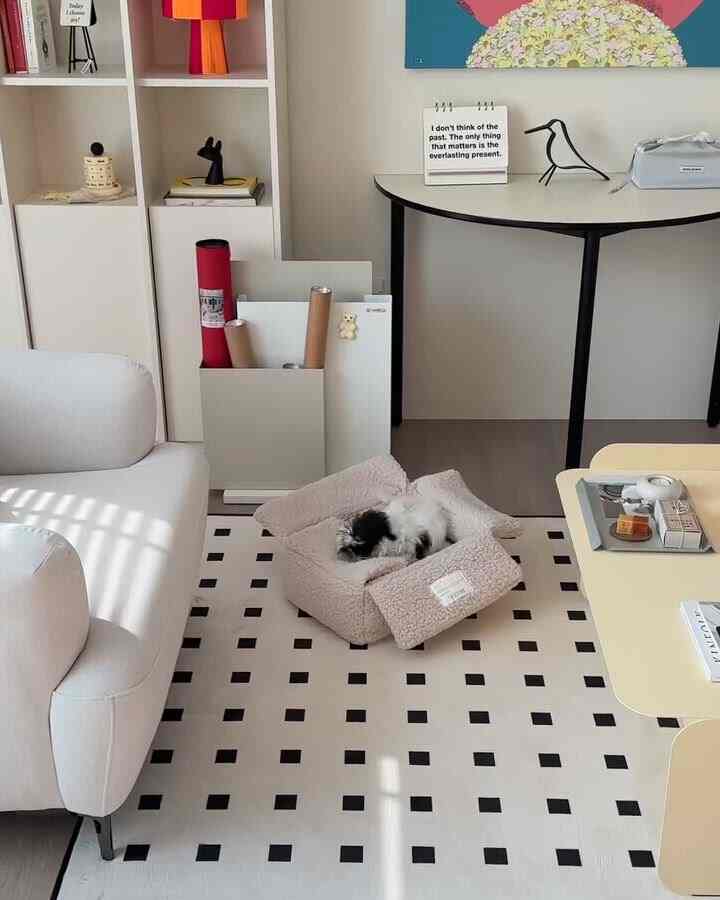 Clean white and beige toned living room with central pet bed and dog, bright and cozy atmosphere