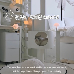 #수납침대 #콘수프기록집 #오늘의가든
수납침대가 들어오고 정리스트레스에서 해방된 요즘✨️
쿠션도 종류별로 필로우도 종류별로 
이불장에 들어가지않아 골칫덩이던 패브릭 제품들부터 
겨울이불, 옷까지 다 정리하고도 남아 
고양이세입자에게 한칸 양보해드릴수 있을정도의 수납침대 
국내생산으로 믿고 사용할수 있고
내구성이 뛰어난 친환경 LPM마감, 무선 조명으로 깔끔하고
침대헤드에 콘센트와 조명까지 너무 야물딱✨️
진짜 수납침대란 이런거죠?!
@goldenstreet_official
#골든스트릿 #맥시멈침대 #침실인테리어 
#모던한 #수납침대 #수납침대추천 
#오늘의집 #집스타그램 #화이트인테리어
#침실꾸미기 #홈스타일링 #침대스타일링
#침대추천 #데스크테리어 #아이방꾸미기 
#고양이집사
#고양이가사는집 #펫스타그램 #냥스타그램
#사이드테이블 #1인소파 #빈백
#공간분리인테리어