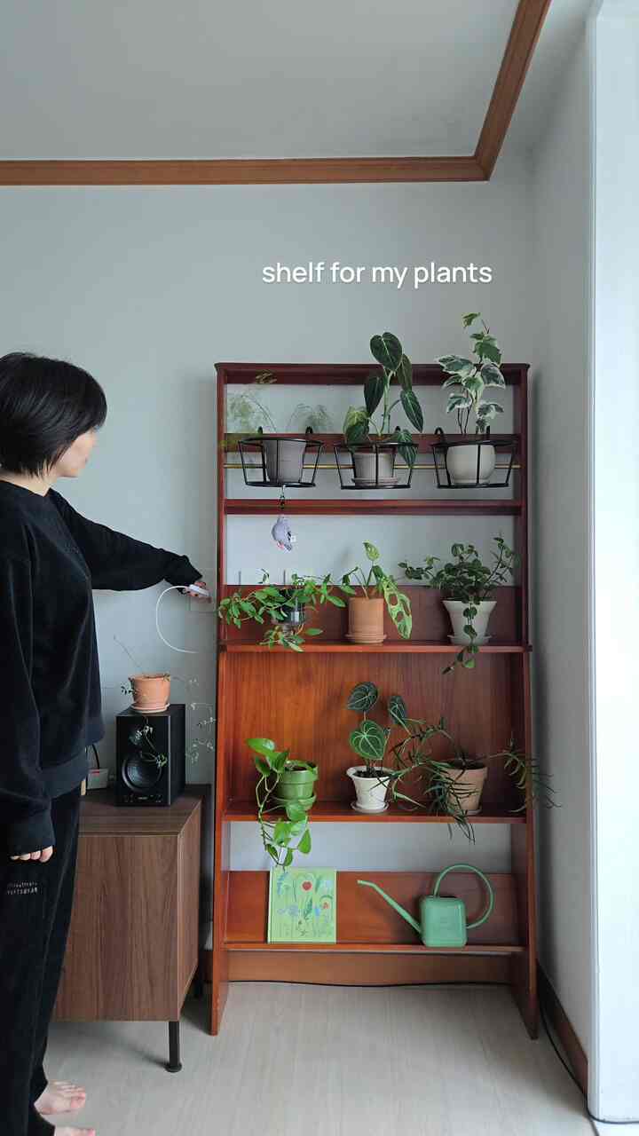shelf for my plants💚

楽しいチュソク連休を過ごしましたね。
私はあらかじめ両親のお宅に行ってきて、
連休の間は完全に家で休んでいます。
延ばした整理整頓と掃除をしました。

課題の1つは植物の整理でした。

もともとあったリビングルームの窓口はいいです。
風がよく入らないので心配でした。

今回送った新しい土で、
風が上がるところに引っ越してくれました。

植物も私も秋の風を満喫
穏やかな休日を楽しんだよ🙂

〰️
#homedecor #shelfdecor #plants #リビングルームのインテリア#今日の家クリエイター 
