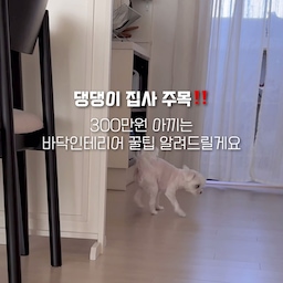 댕집사라면 백번쯤 걱정하는 우리댕댕이들의 슬개골건강!🐶
토리가 노견의 길로 들어서면서 더이상 미룰수 없었답니다ㅠㅠ
토리는 4년전 슬개골수술도 이미 했는데요
고관절도 좋지않아 관리 잘해주라하더라구요
큰맘먹구 온집안 매트깔기 도전!
30평대 넓은 주방이라 시공은 2시간정도 걸린거같아요!
가위로 손쉽게 재단이 되서 얼마나 편하던지 ㅎㅎ
다하고 나니 우리토리 너무 편해보여서 핵 뿌듯!✌️
슬개골수술비용이 300만원 정도 하더라구요..?(차이있음)
여러분은 빨리 타일카페트 시공해서 우리댕댕이들 슬개골건강 챙겨주세요🐶
#콘수프필름 #오늘의우리집 
#30평대인테리어 #전세집인테리어 #전세인테리어총집합 #전세집꾸미기 #전세집바닥 #타일카페트 #타일카페트시공 #셀프인테리어 #슬개골매트 #슬개골탈구방지 #강아지매트 #강아지와함께사는집