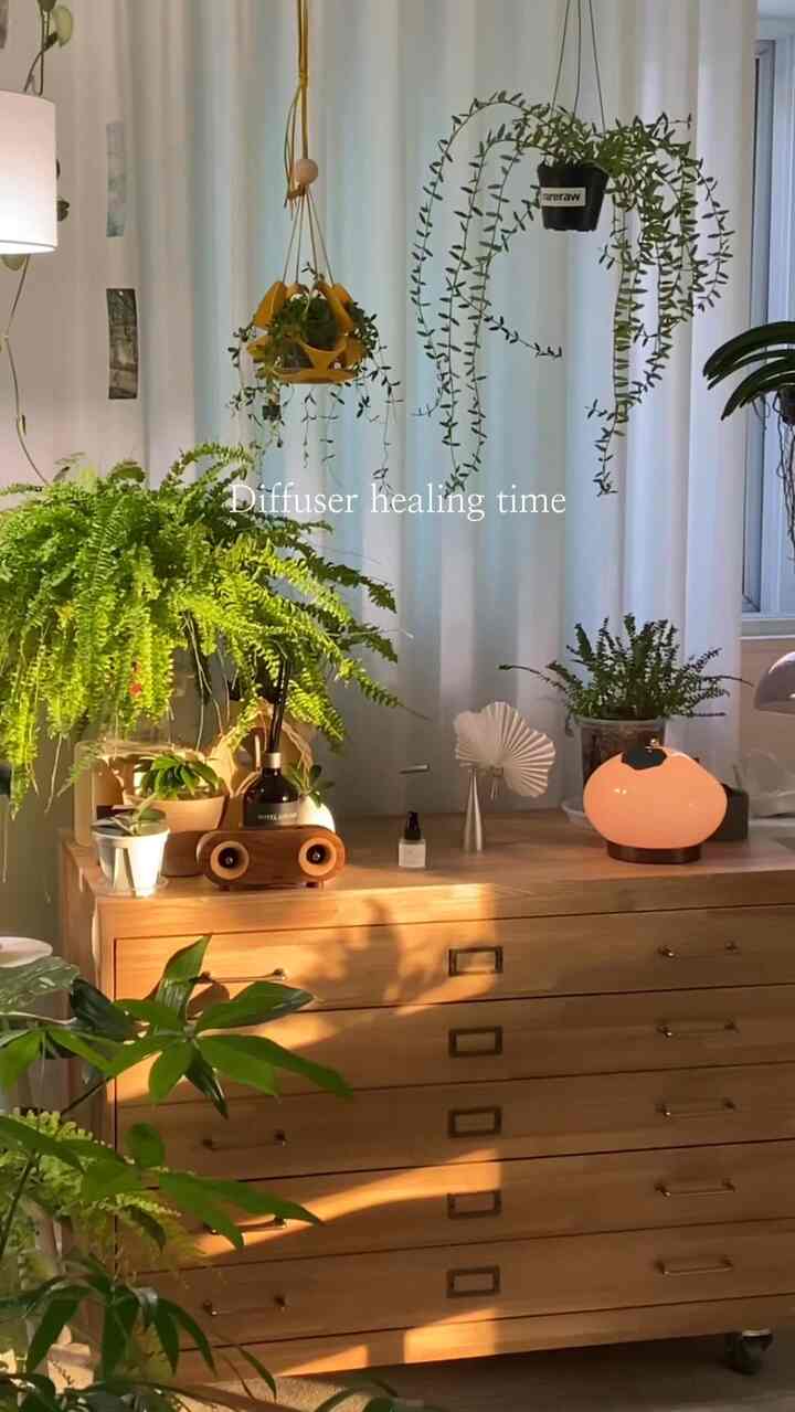 ＃コンスープ記録集 

松のディフューザーのヨーク🌲

私が見たいので作るビデオ😌

サランサランパランパラン
とても良い雪だるま松ディフューザーズレ🫧

🏷️カミキネティックバックソンディフューザー
。
。
。
#カミキネティックディフューザー #カミ #ディフューザー #フランテリア #planterior 