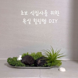 🌿욕실 속 #나만의 정원 #내돈내산
공간을 변화시키는 오브제, MOSS tray 💚
습한 화장실도 감각적인 힐링 스팟으로
만들어주는 PLANT INTERIOR OBJET
흙 없이 키우는 식물이라 
깔끔한 욕실 인테리어를 해치지 않고, 
오히려 감성적인 무드를 더해준답니다.
만드는 방법 궁금하셨죠? 
영상에 초간단 DIY 꿀팁을 모두 담았으니
꼭 확인해 보세요 ✅
#판댕홈 #랜선집들이 #욕실인테리어 #화장실인테리어 #화장실리모델링 #구축아파트인테리어 #TETS #이오난사 #모스트레이 #PLANTINTERIOROBJET #MOSStray #내돈내산 #공기정화식물 #욕실식물 #플랜테리어