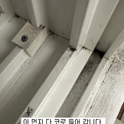 😱 이거 나도 할 수 있네?
오래된 창틀 모헤어를 셀프 교체로 미세먼지/외풍 완벽 차단!
틈새로 들어오는 찬 바람과 미세먼지 때문에 시작한 모헤어 DIY!
이런 것도 셀프로 교체할 수 있는지 정말 몰랐어요. 😅 
송곳과 새 모헤어만 있으면 끝!
처음이라 중간 과정을 못 찍는 초보 크리에이터의 실수도 있었지만,
결과는 대만족입니다!
Before & After 차이가 확실한 월동 준비!
여러분도 꼭 도전해 보세요!
#오늘의우리집 #콘수프필름 #인테리어 #창틀모헤어 #셀프인테리어 #DIY #집수리 #단열 #오늘의집 #셀프시공 #창문 #전셋집꾸미기 