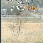 한국 아파트는 대부분
직부등처럼 위에서 아래로만 빛을 쏘는 조명을 쓰잖아요.
근데 간접등만 잘 써도 집 분위기가 정말 호텔처럼 바뀌거든요.


🚩조명 잘 쓰는 방법 3가지
1️⃣ 무드등 쓰기
위에서 아래로 내려오는 메인 조명 하나만 쓰면
눈이 계속 긴장해요.
간접조명을 하나만 더해도
집이 훨씬 편하고 아늑해져요.
2️⃣ 벽이랑 코너 활용하기
아파트는 대부분 바닥만 밝히는데,
벽이나 코너를 비춰주면
공간이 입체적으로 살아나서
집이 더 넓어 보여요.
3️⃣ 조명 나누기
밝게 보이려고 하나만 쓰지 말고
역할 다른 조명을 2~3개로 나누면
집 무드가 훨씬 부드러워져요.
그리고 여기서 중요한 포인트 하나.
처음부터 컬러조명이나 비싼 조명으로 가면
오히려 더 어려워요.
그래서 저는
IKEA 조명으로 연습부터 해보는 거
진짜 추천해요.
저도 아파트 살 때
이렇게 여러 개 써보면서 감 잡았거든요.
✔ 퓌르티오퓌라 / 펜던트 조명 (2만원대)
식탁이나 테이블 위에 달기 좋아요.
공간 중심 잡아주기 딱 좋아서
실패 확률 낮아요.
✔ 블로스베르크 / 펜던트 조명 (3만원대)
볼륨감 있는 타입이라
직부등 대신 쓰기 좋아요.
빛이 부드러워서 거실 무드 만들기 쉬워요.
✔ 토가르프 / 플로어 스탠드 조명 (2만원대)
코너에 두면 벽이 살아나면서
공간이 갑자기 넓어 보여요.
무드등이랑 독서등으로 같이 쓰기 좋아요.
아파트에서는
이렇게 가성비 조명으로 여러 가지 연습해보고,
밝기, 위치, 개수 감각부터 익힌 다음에
인테리어 방향 정하는 게
훨씬 안전하게 내 스타일을 찾을 수 있어요.
저도 서울 아파트에서
많이 실패(?)해보고 나서
집 지을 때 정말 큰 도움이 됐거든요.
이케아 가성비 조명으로 도전해보세요.
한 3개월쯤 써보면
“아 이게 내 스타일이구나”가 딱 보여요.
그때까지 계속 거슬리면
그건 내 취향 아닌 걸로 😆

#오늘의집 #스페셜크리에이터 #오늘의집크리에이터









