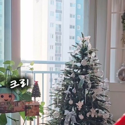 #콘수프필름 
12월 내내 크리스마스만 기다렸는데
정신 차려보니 새해네요 🎍
아쉽지만 트리는 이제 보내줄 시간.
설치할 땐 그렇게 오래 걸리더니
치우는 건 그래도 설치보단 간단해서 다행이에요.
오너먼트 정리하고
전구 다시 릴에 감고
가지 접어서 트리가방에 쏙.
근데 방심했다가
트리 가지에 긁혀서 팔에 상처 투성이… 😭
트리 정리하실 땐 꼭 긴팔 입으세요!
#트리정리 #크리스마스끝 #연말정리 #새해맞이 #살림기록 #집꾸미기