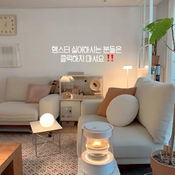우리집 거실 한켠에 햄스터 아쮸와 함께하고 있어요 
드워프 푸딩인데 너무 귀엽죠 
#거실 #거실인테리어 #거실꾸미기 #집꾸미기 #홈인테리어 #인테리어 #거실스타그램 #홈스타그램 #집스타그램 #거실소품 #거실가구 #거실데코 #우리집 #신혼집인테리어 #거실꾸밈 #인테리어소품 #홈데코 #거실인테리어소품 #우드인테리어 #우드 #우드테이블 #우드스타일링 #햄스터 #햄스터집 #오늘의우리집 #콘수프기록집 
